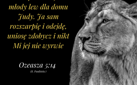 Księga Ozeasza 5:14