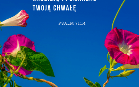 Psalm 71:14 [komentarz]