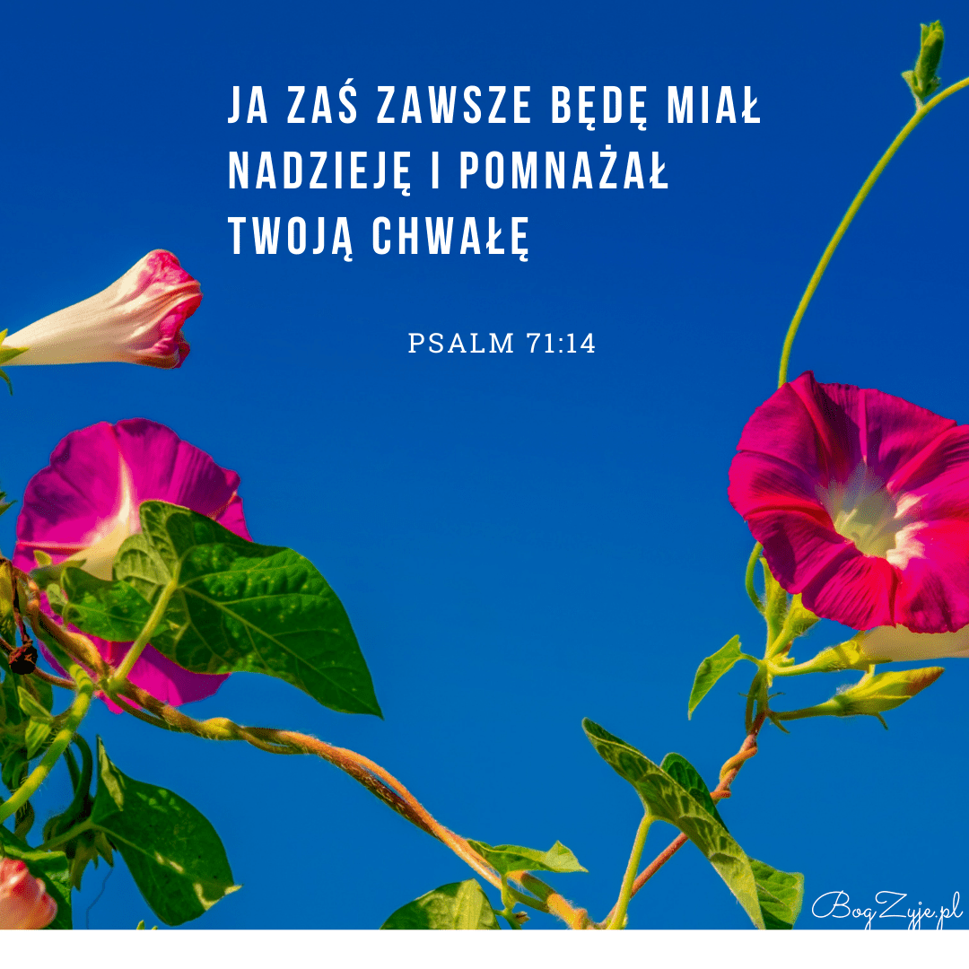 Psalm 71:14 [komentarz]