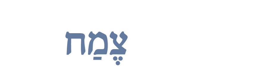 Słownik hebrajsko - polski: צֶמַח / cemach