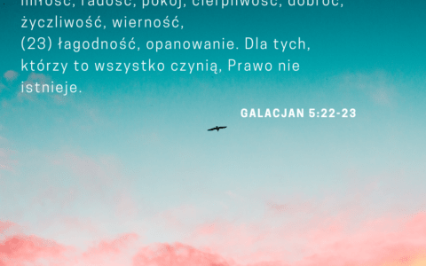 Ile jest owoców Ducha Świętego? List do Galacjan 5:22 [komentarze]