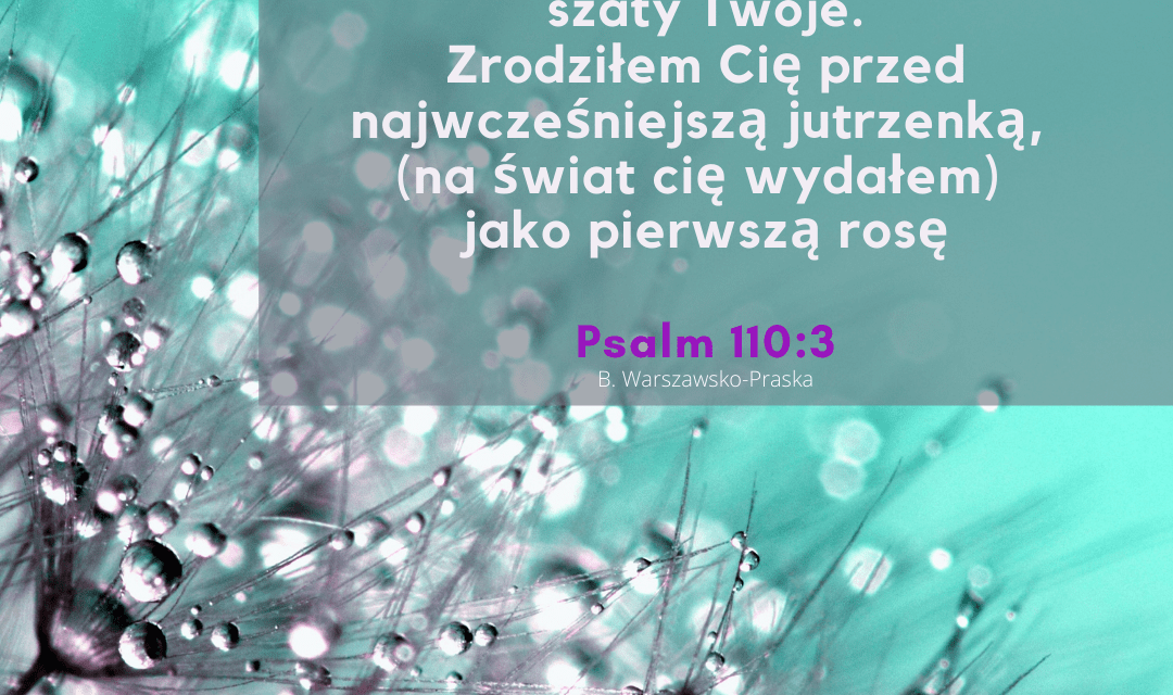 Psalm 110:3