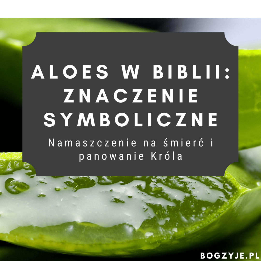 Aloes w Biblii