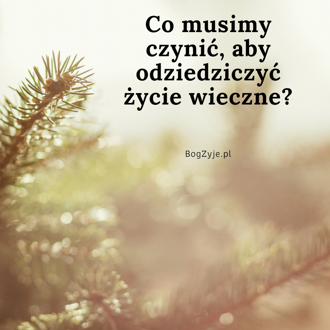 Nauczycielu Dobry Co Mam Czynić Aby Osiągnąć życie Wieczne Co musimy czynić, aby odziedziczyć życie wieczne?
