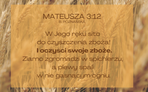Cytaty: Ewangelia Mateusza 3:12