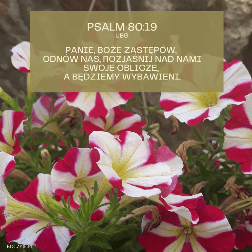cytaty: Psalm 80:19